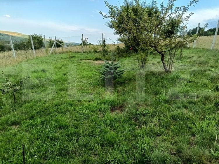 Teren agricol extravilan de 1000 mp, în Exterior Sud