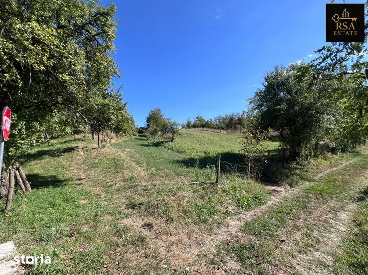 Teren de 6200 mp, în Central