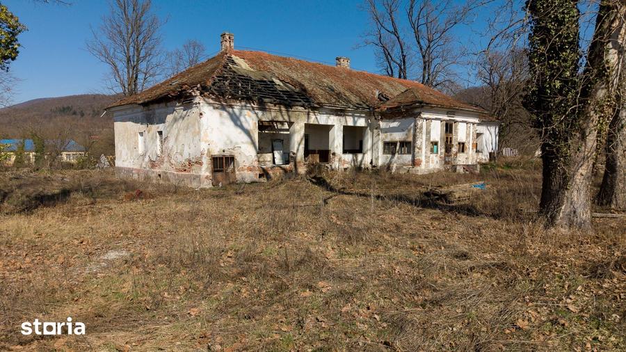 Casă cu 8 camere cu Teren 7235 Mp în Traian Vuia