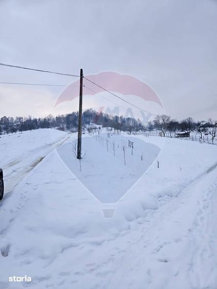 Teren 4,301mp Barsana / Strada Principala - 1