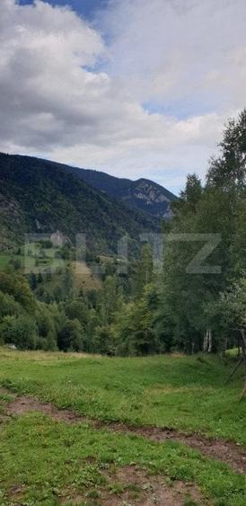 Teren 13.570 mp, Moieciu Pestera - 12