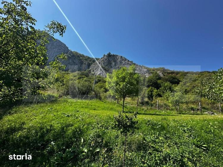 Teren de 1800 mp, în Sălciua