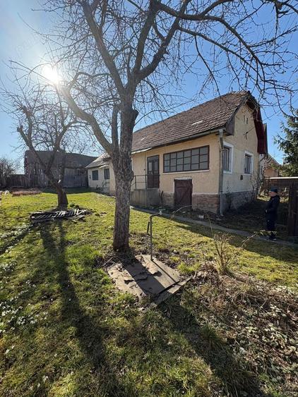 Casă cu 4 camere cu Teren 1250 Mp în Valea Crișului