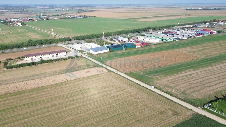 Teren Construcții intravilan de 66400 mp, în Biharia