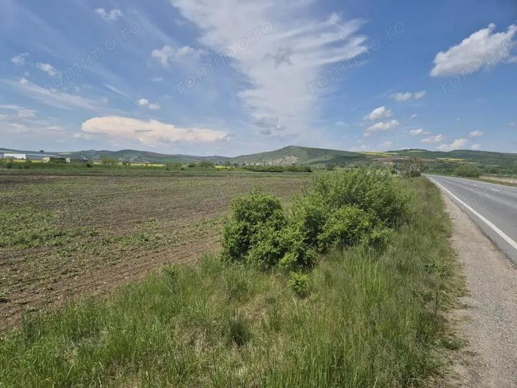 Teren de 10000 mp, în Central