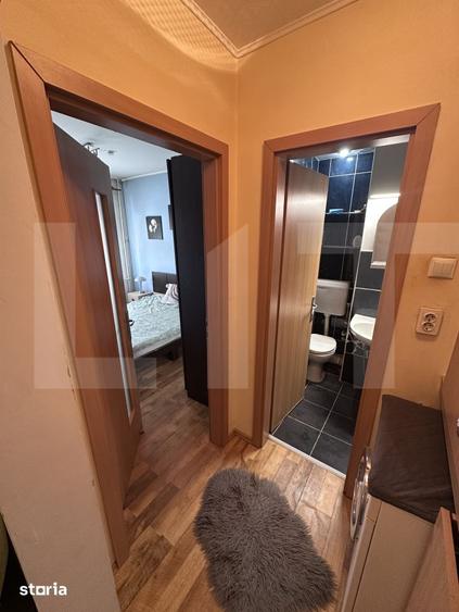 Apartament cu 2 camere în Șega