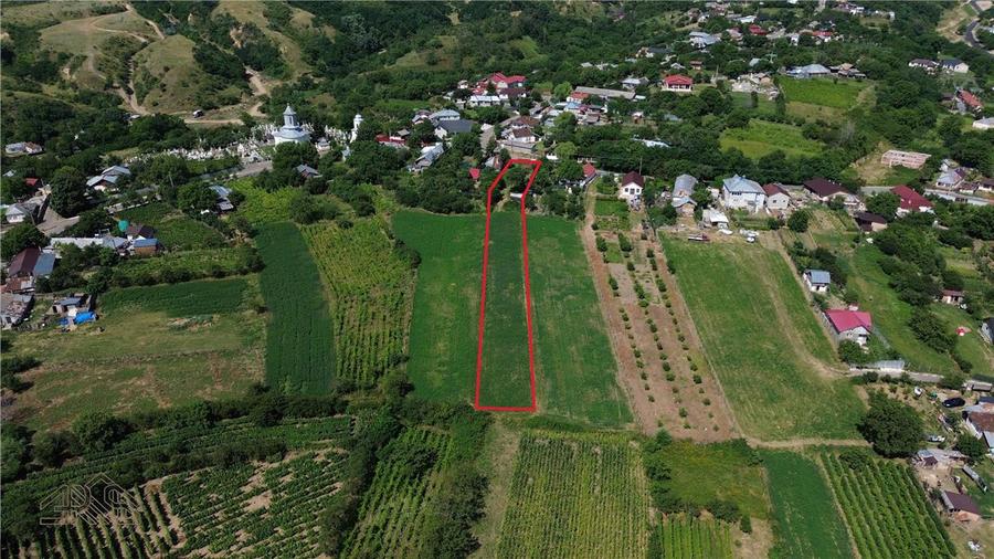 Teren intravilan de 2199 mp, în Faraoanele