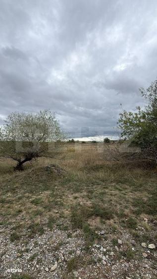 Teren de vanzare, 6.600 mp, zona Cornesti - Mihai Viteazu - 1