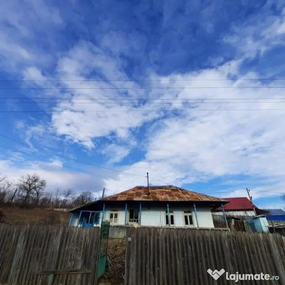 Casă cu 2 camere cu Teren 1628 Mp în Dănești
