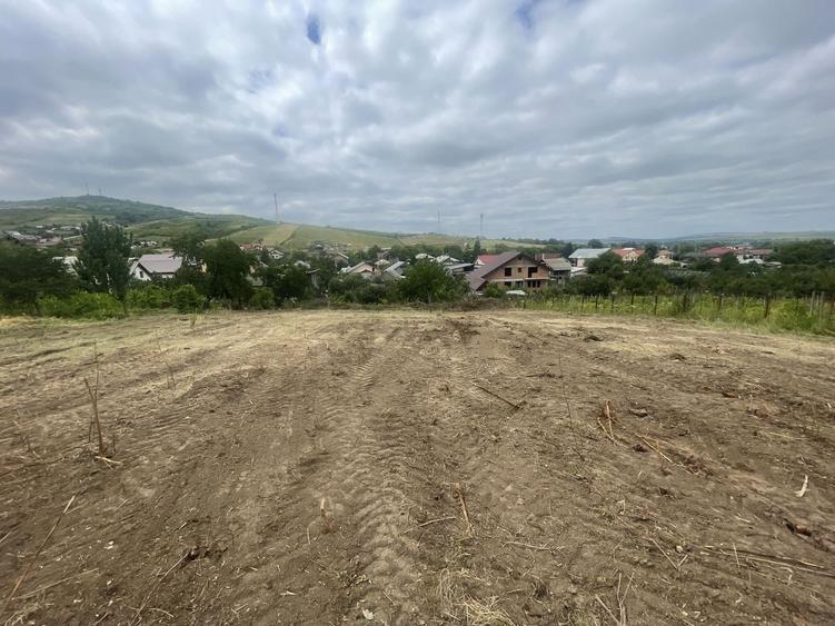 Teren Construcții intravilan de 3600 mp, în Tomești
