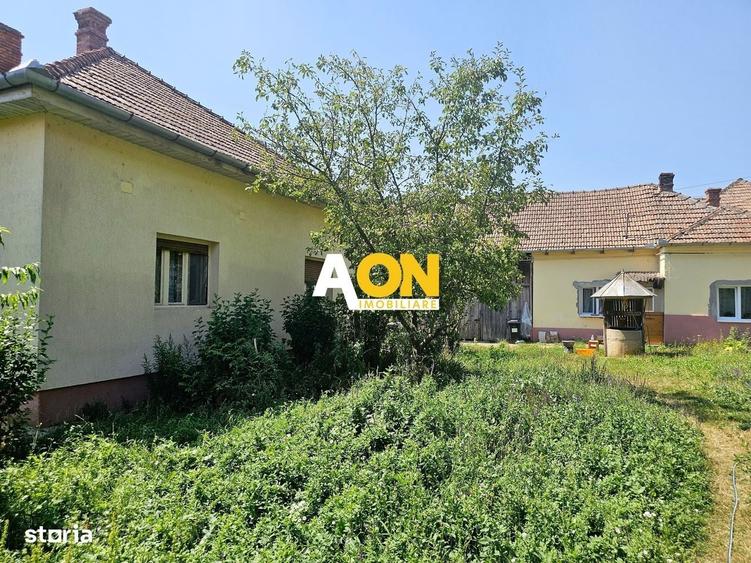 Casa renovata, 2 corpuri de cladire + anexe, 1331 mp teren, Paclisa - 12