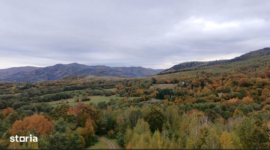 Teren de 2652 mp, în Șinca