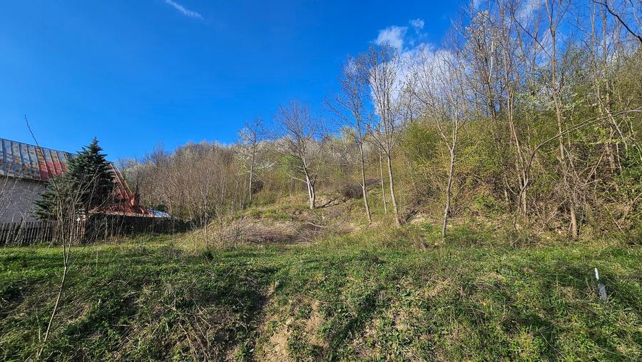 Teren Construcții intravilan de 1800 mp, în Brebu Megieșesc