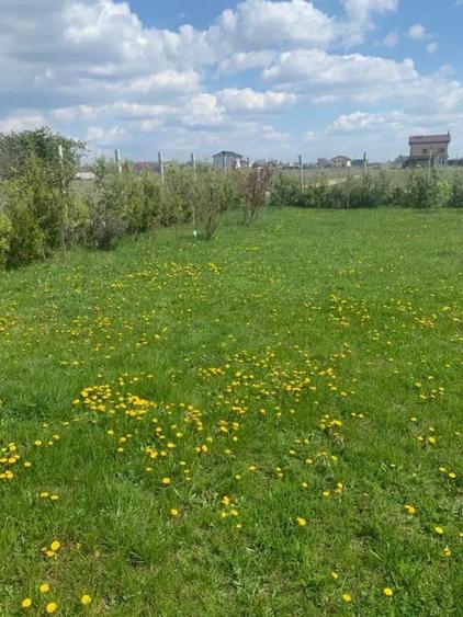 Teren de 496 mp, în Theodor Pallady