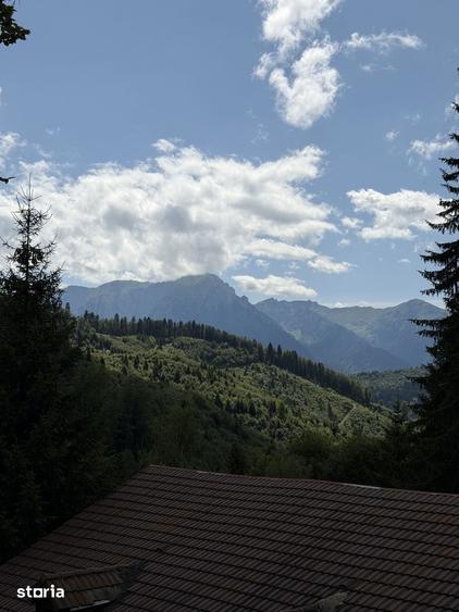 Pensiune Trei Brazi Predeal - 2