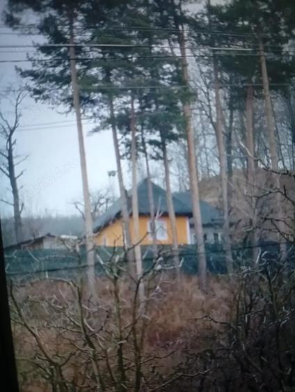 imobiliare CASA TEREN - 3