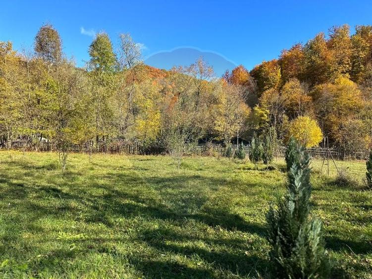 Teren de vanzare Cuiejdel 1350 mp - 11