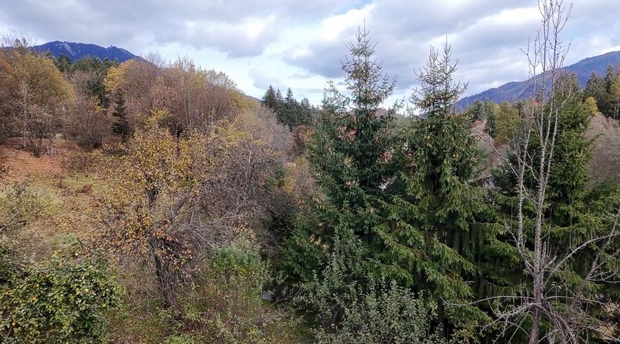 2000 teren intravilan, Timisu de Sus Brasov - 6