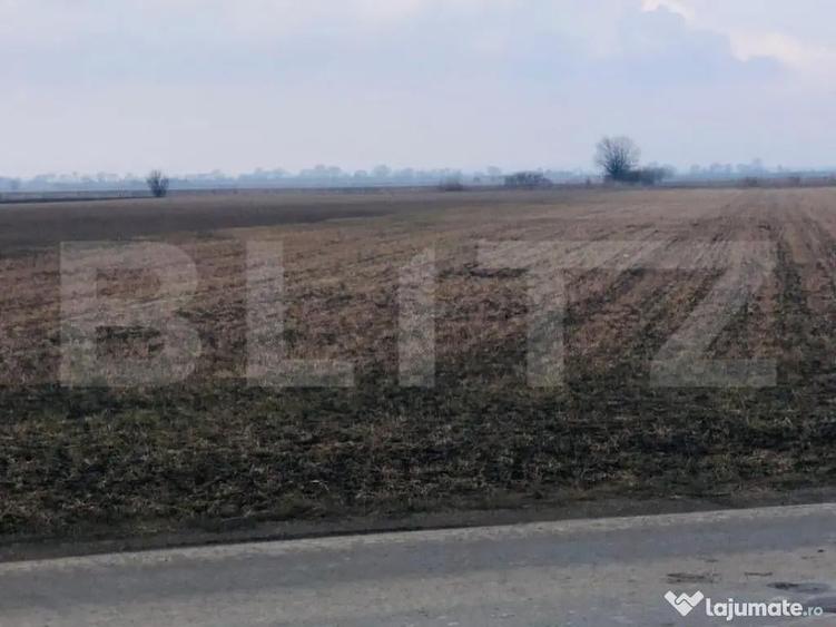 Teren extravilan de vanzare, 30.000 mp, cu potential de con - 1