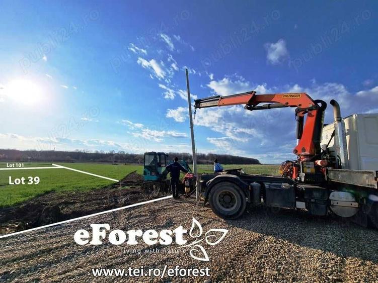 Loturi de teren, eForest, langa doua paduri, acces din DN1A, Crevedia - 1