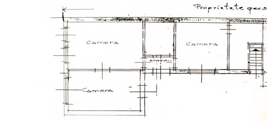 Vila de inchiriat, PET FRIENDLY, 3 camere, 70 mp, curte, zona Parcul Cetatuia - 8