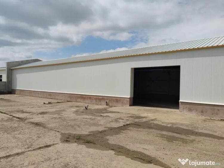 Hala de inchiriat - 320 MP, zona Complex Max, Restaurant Reg - 3