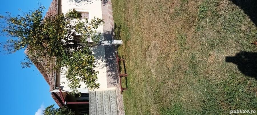 Casă cu 3 camere în Sânandrei