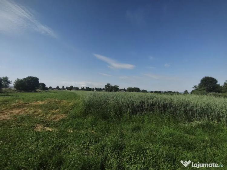 Casă cu 2 camere cu Teren 5567 Mp în Frătăuții Vechi