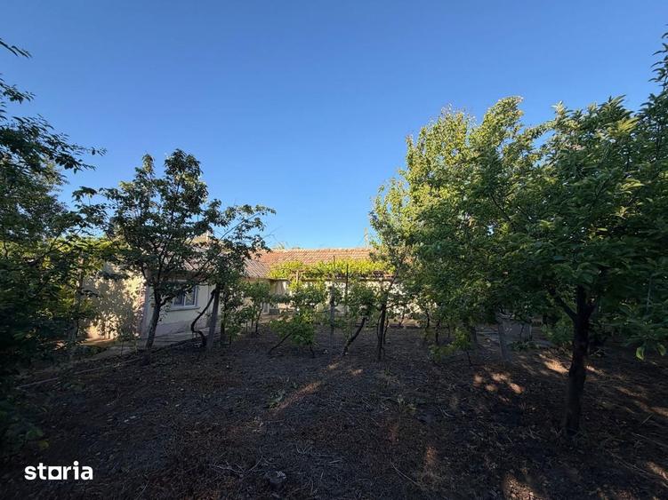 Casa 6 camere, amplasare rurala, 1600mp teren. Pre? u?or negociabil - 7