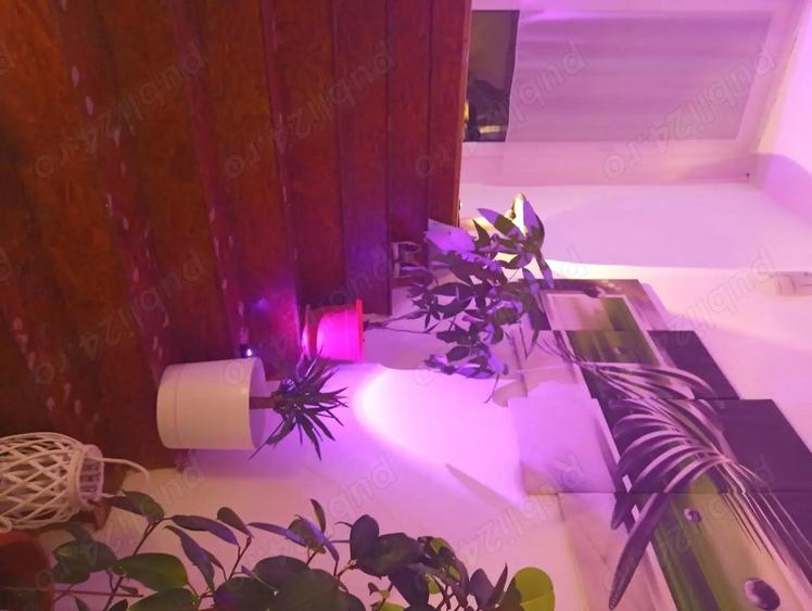 Casa renovata cu piscina - 8