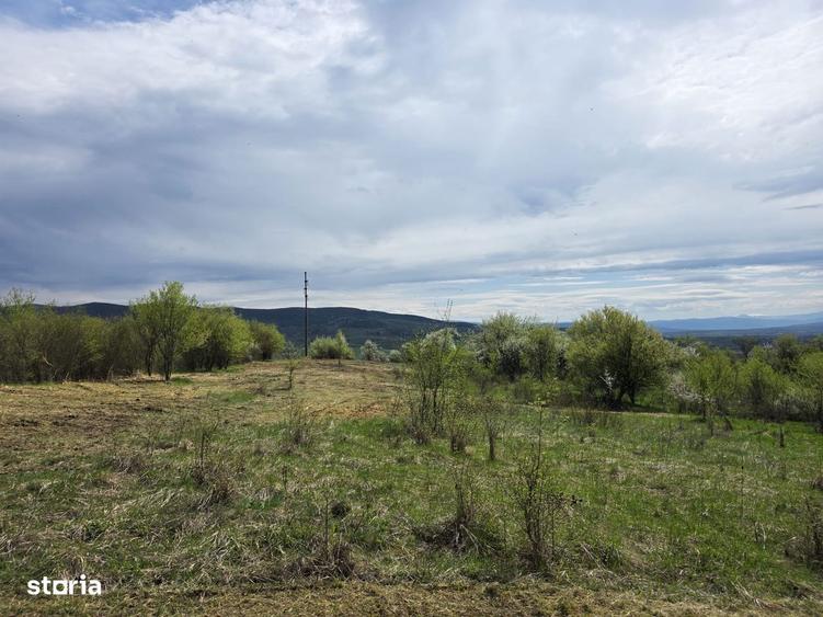 De vanzare teren intravilan Barsau, jud. Hunedoara - 4