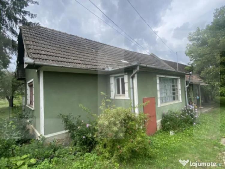 Casa tradi?ionala cu teren generos Belin - 9