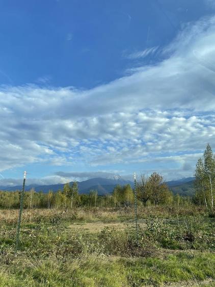 Teren Valea Avrigului - 4