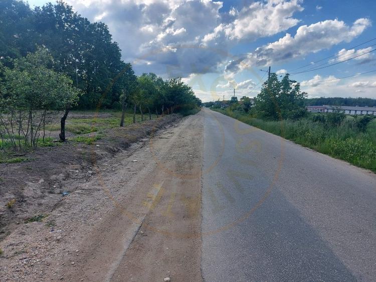 Teren intravilan 1843 mp - Cerbu/Albota/Arges - cu proiect de casa pe parter - 3