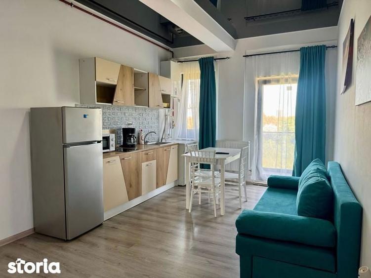 Apartamente de inchiriat/mai-500 euro - 7