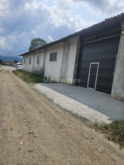 Inchirez hala pt servi ce camioane, sau depozitare Cristian Sibiu Inchirez hala pt servi ce camioane, sau depozitare Cristian Sibiu