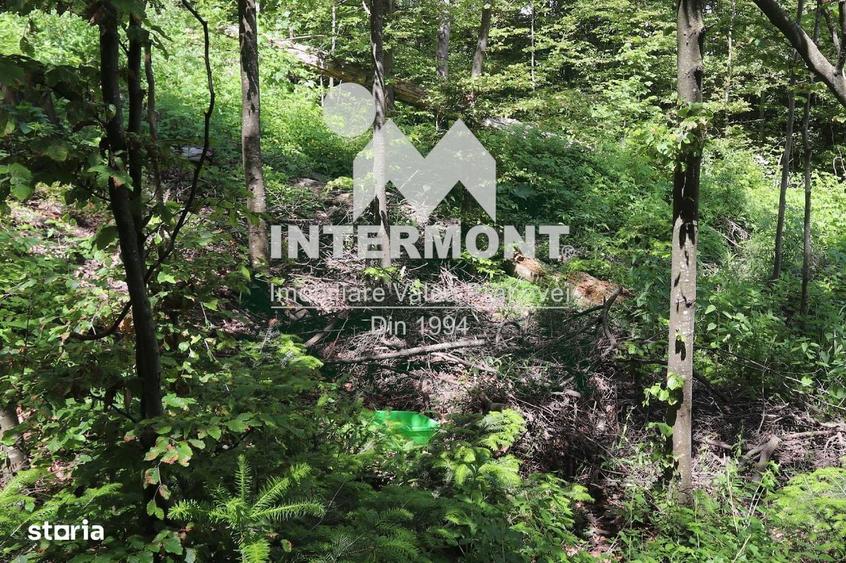 Teren Sinaia Zona Centrala, 500mp, Vedere Montana, Toate Utilitatile - 2