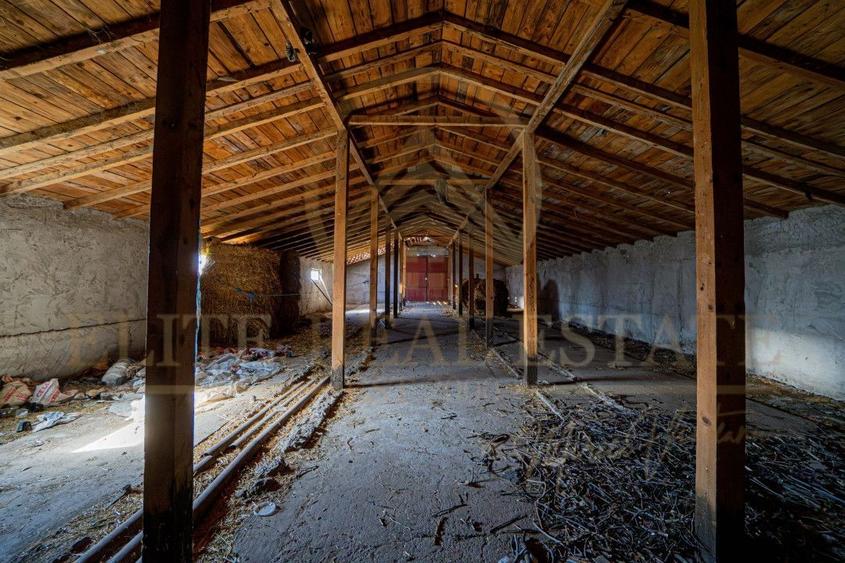 Tariverde - Ferma zootehnica functionala, 3 hectare teren intravilan! - 15