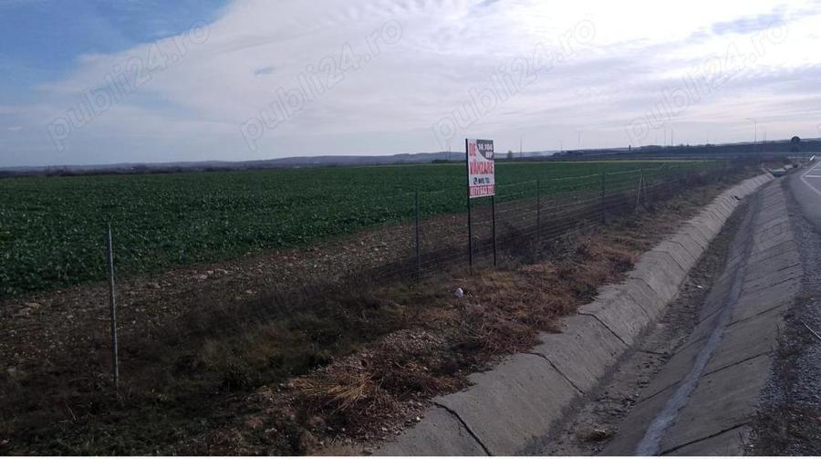 Vindem teren intravilan Biharia - 3