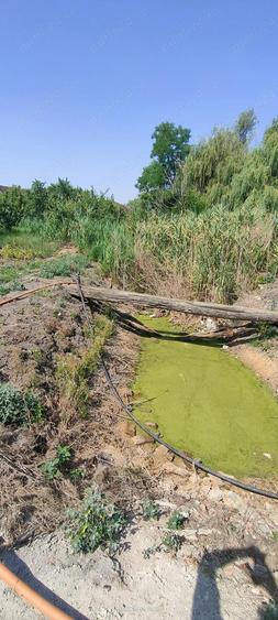 Teren intravilan cur?i construc?ii 2800 mp- Lovrin-Centru de vanzare - 13