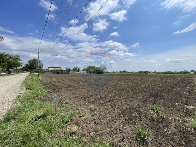 Teren Tifesti / Strada Secundara 47 - 4