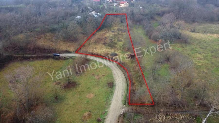 Teren de vanzare in comuna Valea Iasului, jude? Arge?. - 4