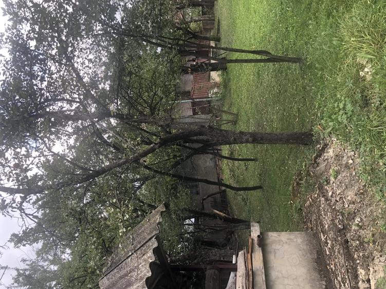 Casa batraneasca de vanzare in satul Martanus, Jud. Covasna - 6