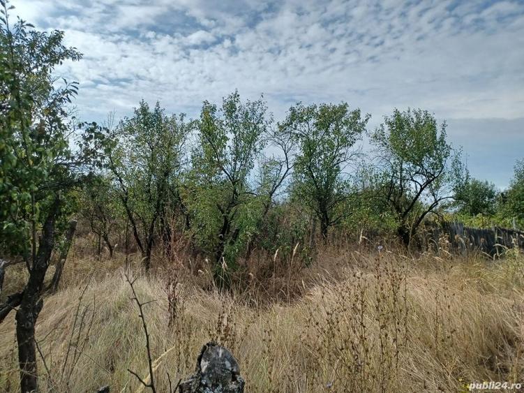 Teren intravilan cu casa - 15