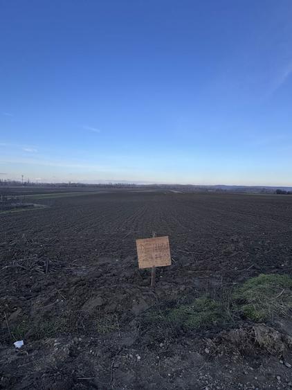 Teren de vanzare - 1