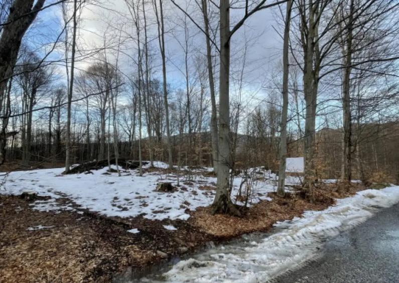 Teren deosebit 30 arii | Zona montana exclusivista | Apro - 2