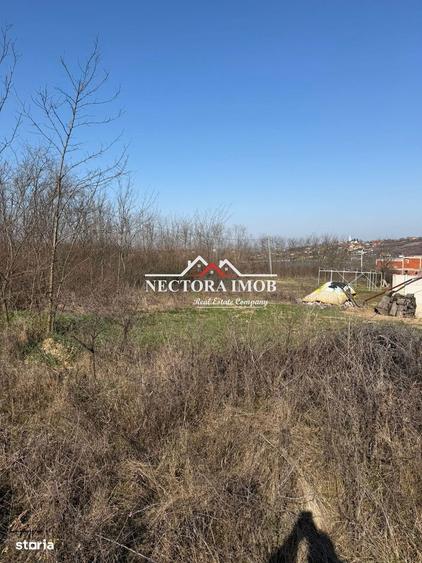 NECTORA IMOB-Teren Intravilan Lac Paleu, 886 mp, Front 27 ml,Utilitati - 4