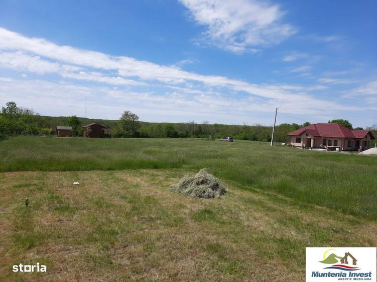 Teren 850 mp,Albota(Morlovani) - 4