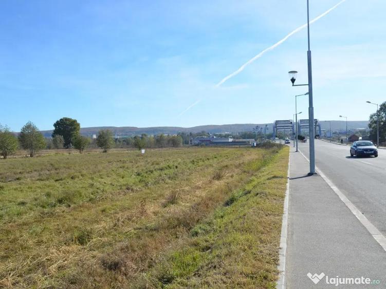 Teren intravilan de vanzare 7.002 mp - Deschidere 70 m la bulevard | Mioveni - 3