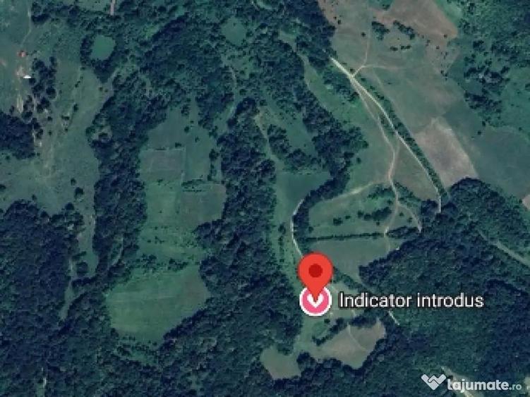 18.000 Mp teren extravilan in jud Sibiu comuna Mihaileni sat ?elcau pret negociabil - 3